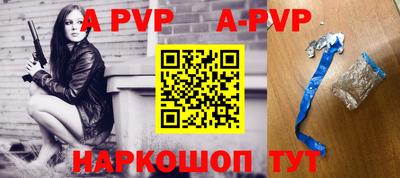 тгк Новодвинск