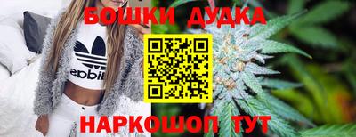 тгк Новодвинск