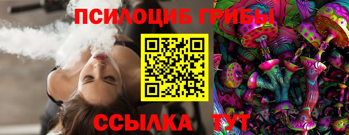Чехов  Псилоцибиновые грибы ЛСД  Вход с VPN  Галлюциногенные грибы Cubensis 
